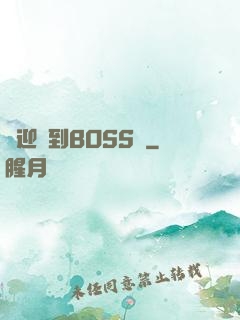 歡迎來到BOSS隊