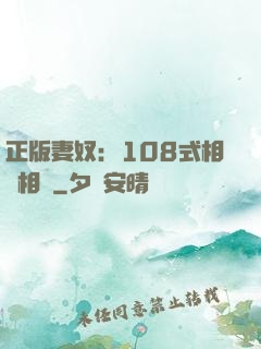 正版妻奴：108式相愛相殺