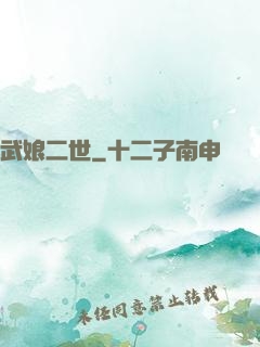 武娘二世