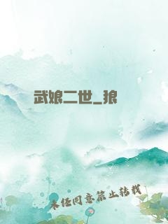 武娘二世