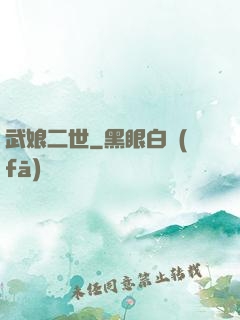 武娘二世
