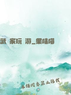 武學家玩網游
