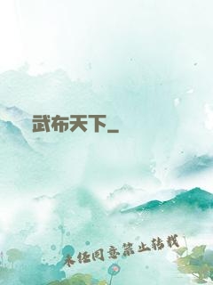 武布天下