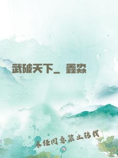 武破天下