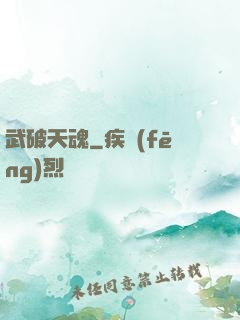 武破天魂