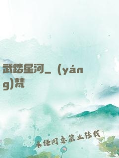 武踏星河