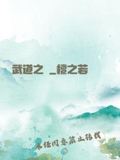 武道之巔