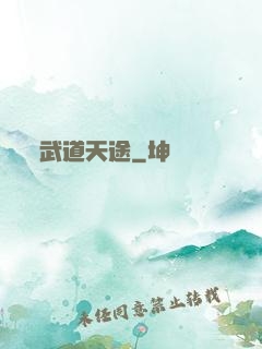 武道天途