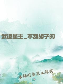 武道星主