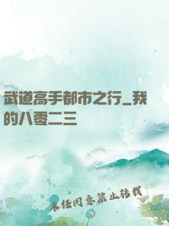 武道高手都市之行
