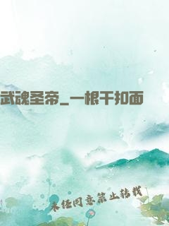 武魂圣帝