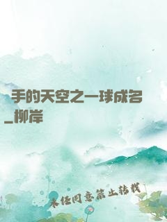 殺手的天空之一球成名