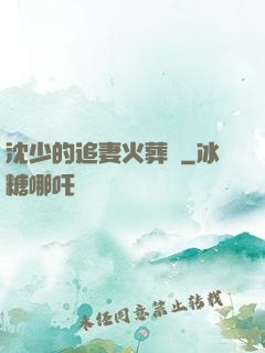 沈少的追妻火葬場