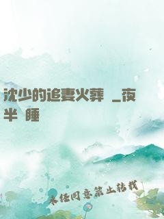 沈少的追妻火葬場