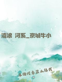 流浪銀河系