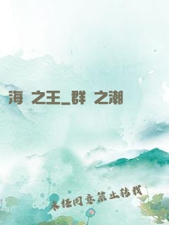 海島之王