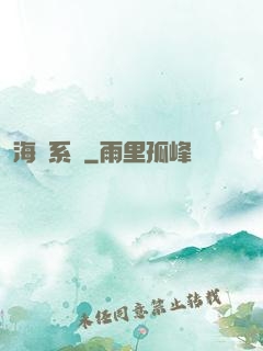 海盜系統