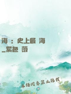 海賊：史上最強海賊團