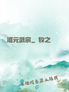 混元武宗