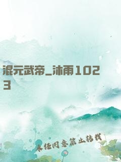 混元武帝