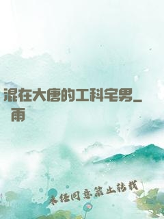 混在大唐的工科宅男