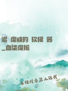 混跡魔戒的騎砍模擬器