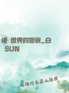 港綜世界的警察