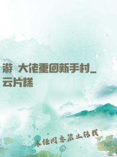 游戲大佬重回新手村