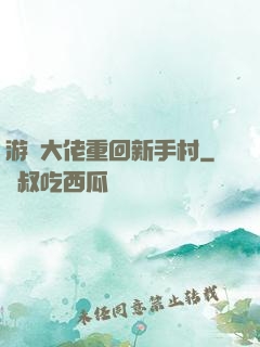 游戲大佬重回新手村