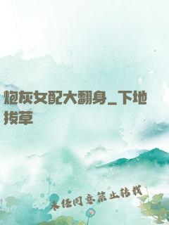 炮灰女配大翻身