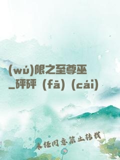 無(wú)限之至尊巫師