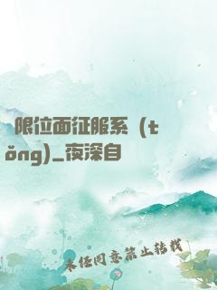 無限位面征服系統(tǒng)
