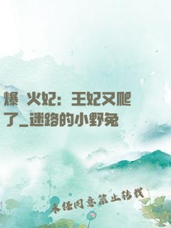 爆寵火妃：王妃又爬墻了
