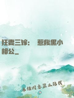 狂妻三嫁：誤惹腹黑小相公