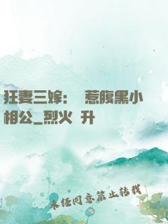 狂妻三嫁：誤惹腹黑小相公