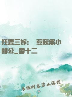 狂妻三嫁：誤惹腹黑小相公