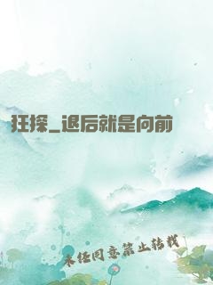 狂探