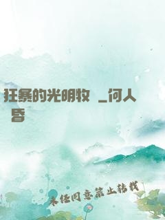 狂暴的光明牧師