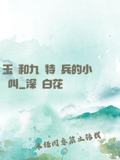 玉兒和九個特種兵的小說叫