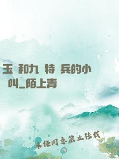 玉兒和九個特種兵的小說叫