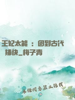 王妃太能鬧：回到古代當捕快