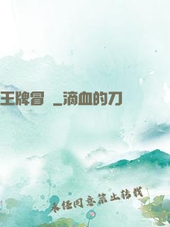 王牌冒險