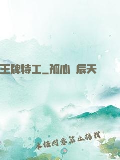 王牌特工