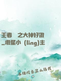 王者歸來之大神好傲嬌