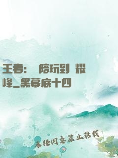 王者：從陪玩到榮耀巔峰