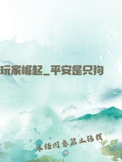 玩家崛起