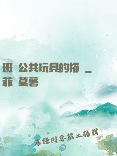 班級公共玩具的描寫