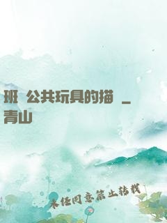 班級公共玩具的描寫