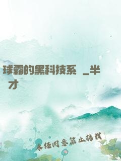 球霸的黑科技系統