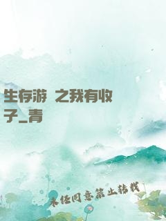 生存游戲之我有收錄鏡子